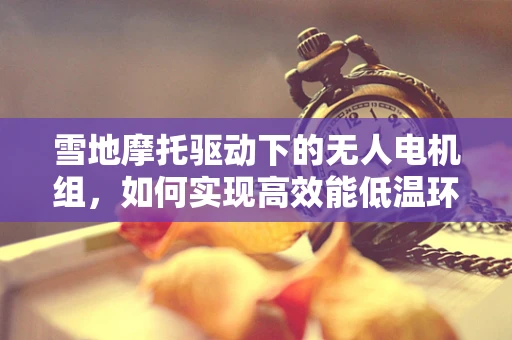 雪地摩托驱动下的无人电机组，如何实现高效能低温环境下的稳定运行？