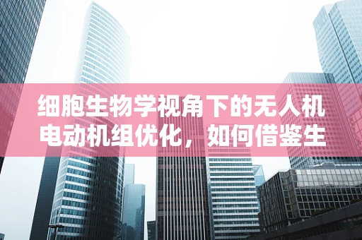 细胞生物学视角下的无人机电动机组优化，如何借鉴生物细胞结构提升性能？