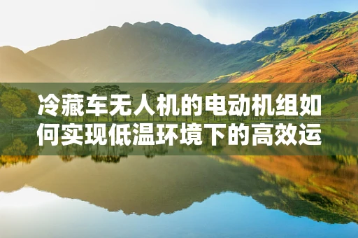 冷藏车无人机的电动机组如何实现低温环境下的高效运行？
