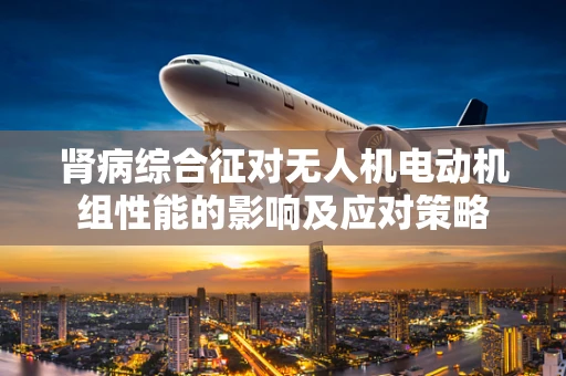 肾病综合征对无人机电动机组性能的影响及应对策略
