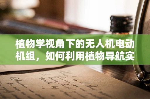 植物学视角下的无人机电动机组，如何利用植物导航实现精准定位？