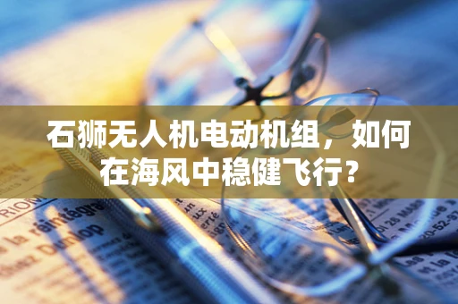 石狮无人机电动机组，如何在海风中稳健飞行？