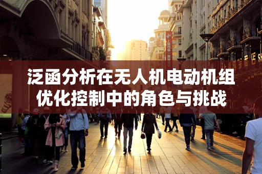 泛函分析在无人机电动机组优化控制中的角色与挑战