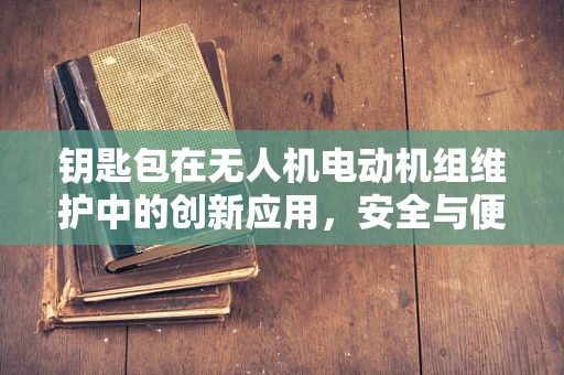 钥匙包在无人机电动机组维护中的创新应用，安全与便捷的双重考量