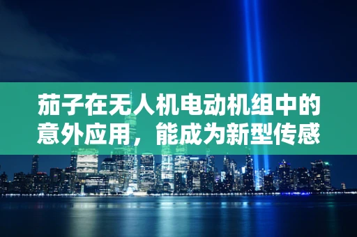 茄子在无人机电动机组中的意外应用，能成为新型传感器吗？