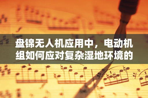 盘锦无人机应用中，电动机组如何应对复杂湿地环境的挑战？