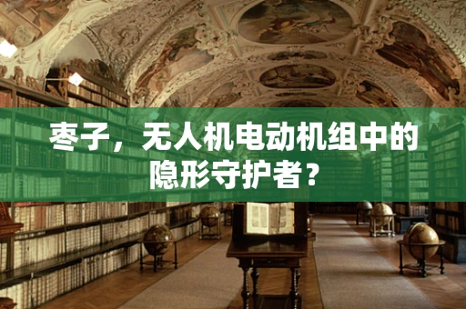 枣子，无人机电动机组中的隐形守护者？