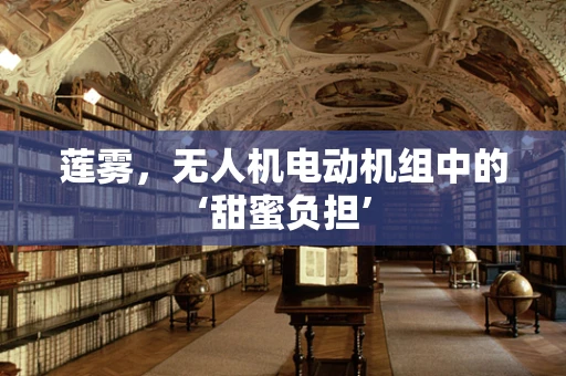 莲雾，无人机电动机组中的‘甜蜜负担’