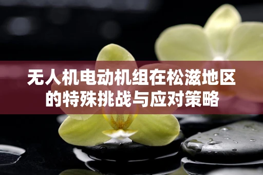 无人机电动机组在松滋地区的特殊挑战与应对策略