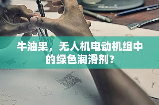 牛油果，无人机电动机组中的绿色润滑剂？