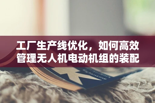 工厂生产线优化，如何高效管理无人机电动机组的装配？