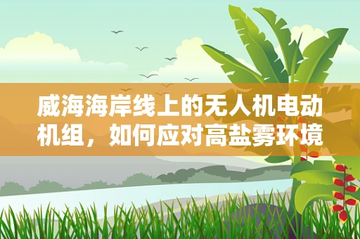 威海海岸线上的无人机电动机组，如何应对高盐雾环境的挑战？