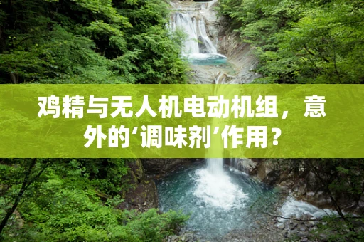 鸡精与无人机电动机组，意外的‘调味剂’作用？