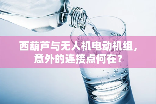 西葫芦与无人机电动机组，意外的连接点何在？