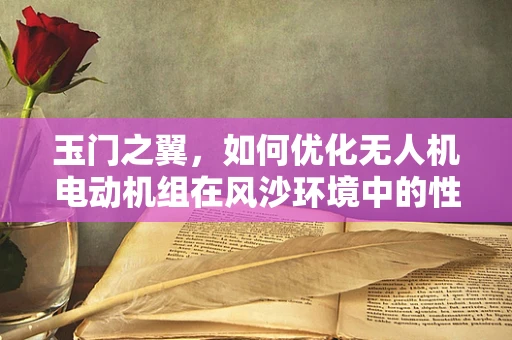玉门之翼，如何优化无人机电动机组在风沙环境中的性能？