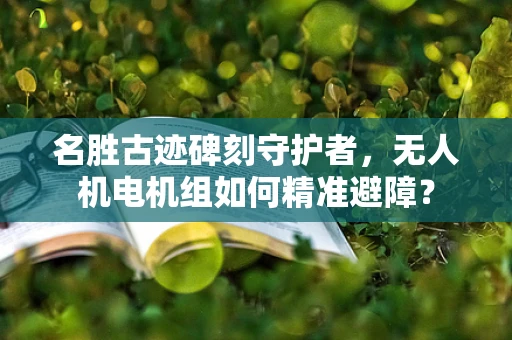 名胜古迹碑刻守护者，无人机电机组如何精准避障？