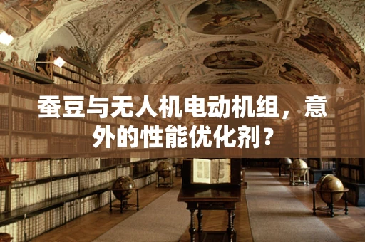 蚕豆与无人机电动机组，意外的性能优化剂？