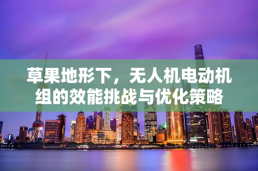 草果地形下，无人机电动机组的效能挑战与优化策略