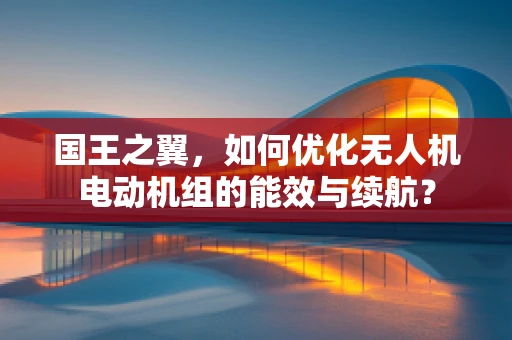 国王之翼，如何优化无人机电动机组的能效与续航？