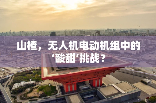 山楂，无人机电动机组中的‘酸甜’挑战？