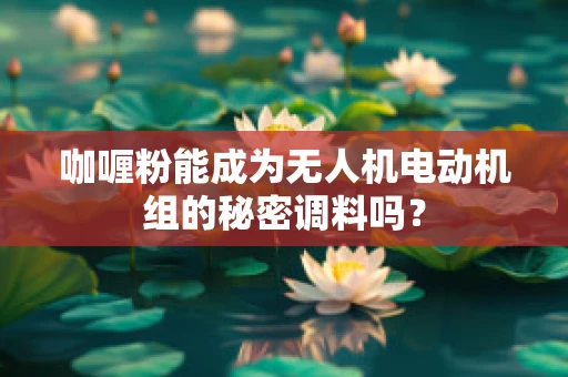 咖喱粉能成为无人机电动机组的秘密调料吗？