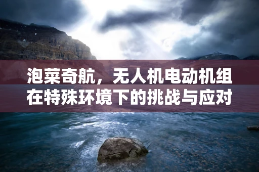 泡菜奇航，无人机电动机组在特殊环境下的挑战与应对