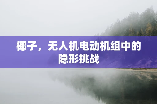 椰子，无人机电动机组中的隐形挑战