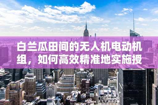 白兰瓜田间的无人机电动机组，如何高效精准地实施授粉？