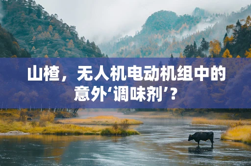 山楂，无人机电动机组中的意外‘调味剂’？