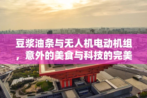 豆浆油条与无人机电动机组，意外的美食与科技的完美结合