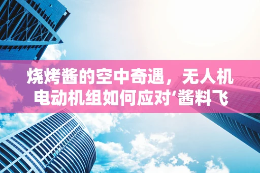 烧烤酱的空中奇遇，无人机电动机组如何应对‘酱料飞溅’挑战？