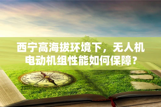 西宁高海拔环境下，无人机电动机组性能如何保障？