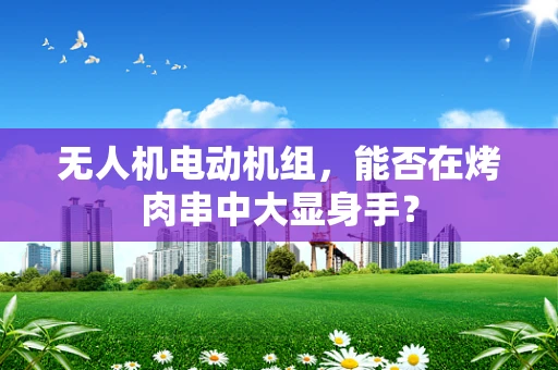 无人机电动机组，能否在烤肉串中大显身手？