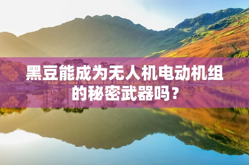 黑豆能成为无人机电动机组的秘密武器吗？