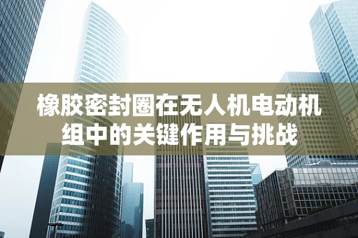 橡胶密封圈在无人机电动机组中的关键作用与挑战