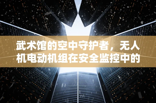 武术馆的空中守护者，无人机电动机组在安全监控中的角色与挑战
