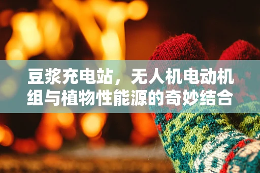 豆浆充电站，无人机电动机组与植物性能源的奇妙结合