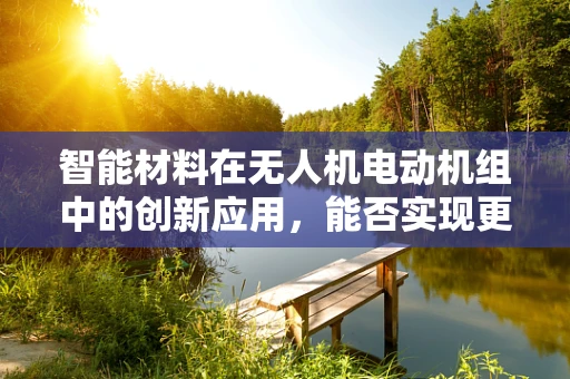 智能材料在无人机电动机组中的创新应用，能否实现更高效的自适应性？