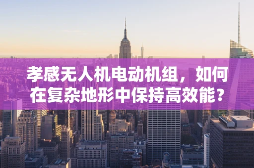 孝感无人机电动机组，如何在复杂地形中保持高效能？