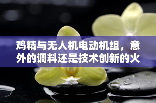 鸡精与无人机电动机组，意外的调料还是技术创新的火花？
