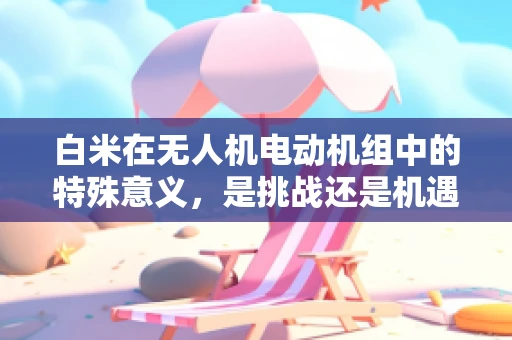 白米在无人机电动机组中的特殊意义，是挑战还是机遇？