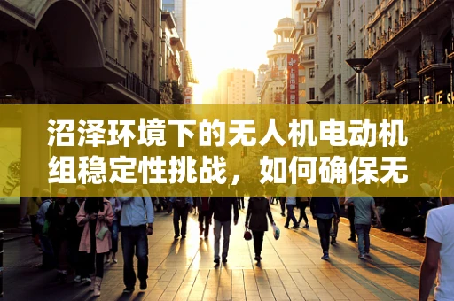 沼泽环境下的无人机电动机组稳定性挑战，如何确保无损穿越？