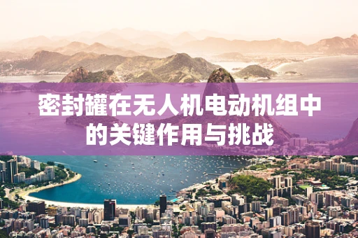 密封罐在无人机电动机组中的关键作用与挑战