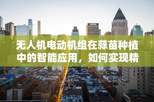 无人机电动机组在蒜苗种植中的智能应用，如何实现精准灌溉的挑战与解决方案？