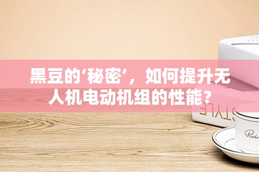 黑豆的‘秘密’，如何提升无人机电动机组的性能？