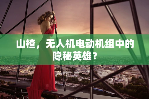 山楂，无人机电动机组中的隐秘英雄？