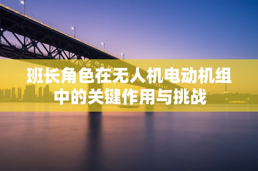 班长角色在无人机电动机组中的关键作用与挑战