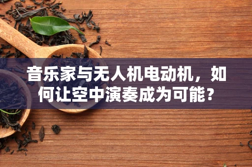 音乐家与无人机电动机，如何让空中演奏成为可能？