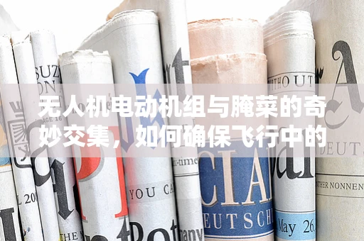 无人机电动机组与腌菜的奇妙交集，如何确保飞行中的食物安全？