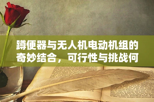 蹲便器与无人机电动机组的奇妙结合，可行性与挑战何在？